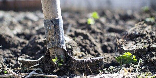 Внимание! В Лесозаводском районе верхний слой почвы переувлажнен