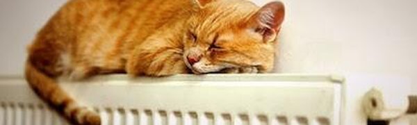 В 14 муниципалитетах Приморья завершен отопительный сезон