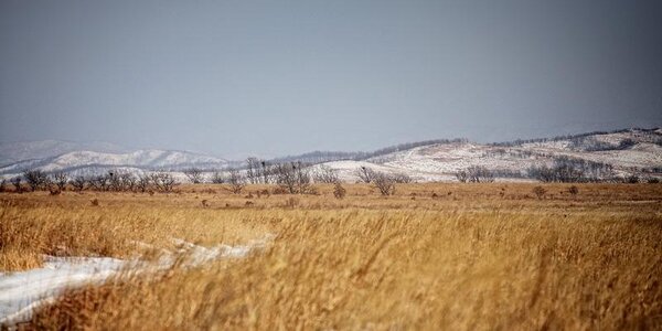 В ближайшие сутки похолодание в Приморье продолжится