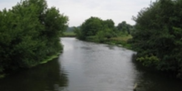 Паводковая ситуация на реках Приморья стабильная