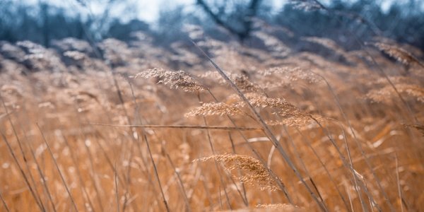 Минувшая суббота в Приморье стала самым теплым днем февраля