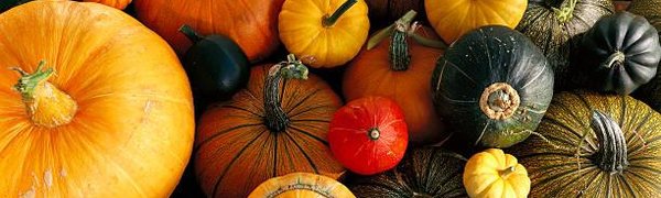 14 и 15 сентября в центре Владивостока развернётся ярмарка