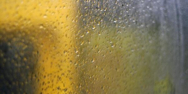 Ну и декабрь в Приморье: среднесуточные температуры превышают норму до 13 градусов