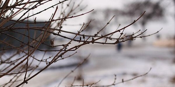 Синоптика уточнили прогноз погоды на последние выходные ноября в Приморье и Владивостоке