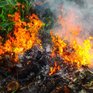 Какой грозит штраф за сжигание мусора на своем участке?