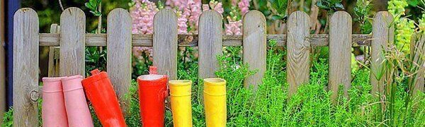 Переувлажнение почвы наблюдается в 5 районах Приморья