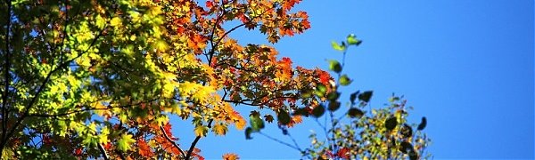 Последние дни сентября в Приморье будут малооблачными и теплыми