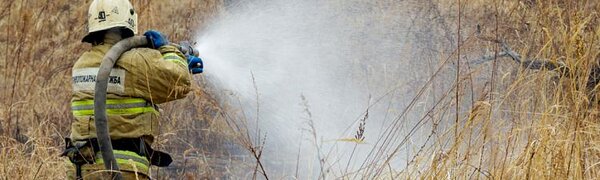 В Приморье потушили почти 100 гектаров леса