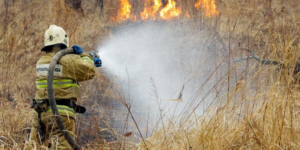 В Приморье потушили почти 100 гектаров леса