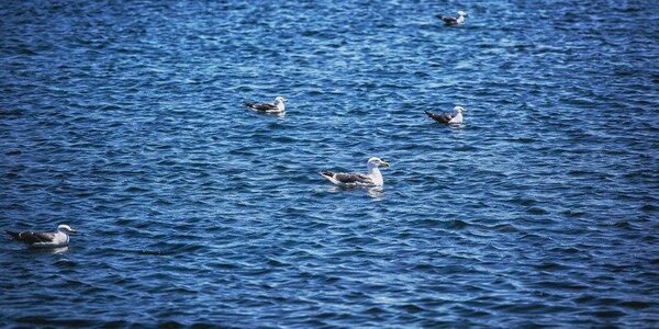 Из-за антициклона в Приморье станет прохладнее