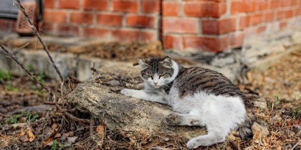 В четверг в Приморье будет относительно прохладно
