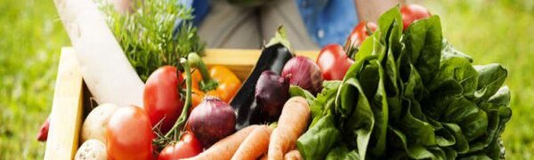 Во Владивостоке проходят бесплатные лекции для садоводов