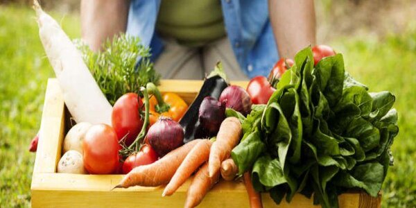 Во Владивостоке проходят бесплатные лекции для садоводов