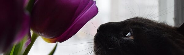 Ветреная погода ожидается во Владивостоке в пятницу, 13 марта