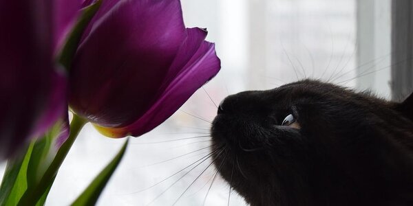 Ветреная погода ожидается во Владивостоке в пятницу, 13 марта