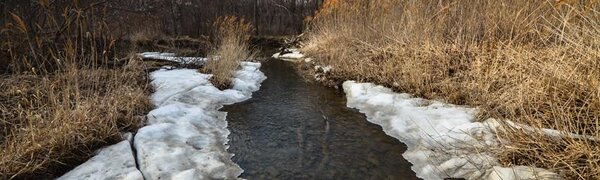 На реках Приморья продолжается стаивание льда
