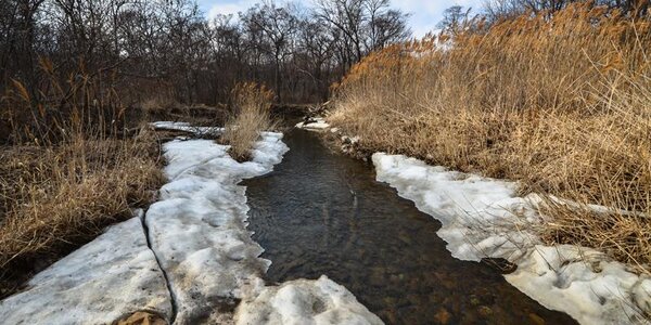 На реках Приморья продолжается стаивание льда