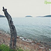 Путешествие на остров Попова