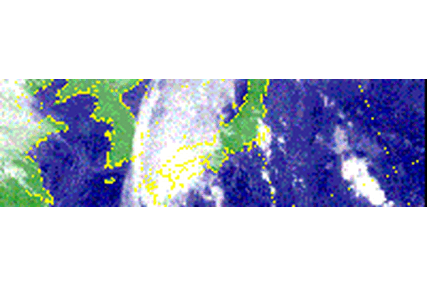 Тайфун TORAJI обрушился на Японию