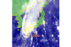 Тайфун TORAJI обрушился на Японию