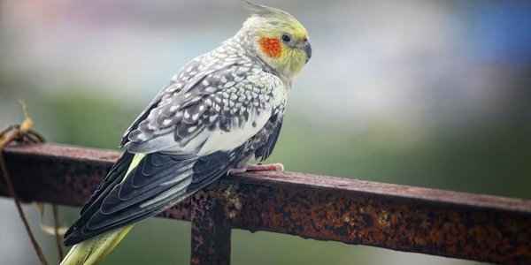 Градус вниз: аномальное похолодание накрыло Владивосток