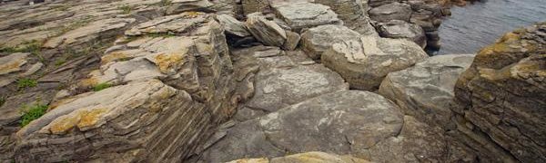 Холодная ветреная погода пришла во Владивосток