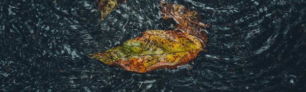 На реках Приморья возможны локальные подъемы уровня воды