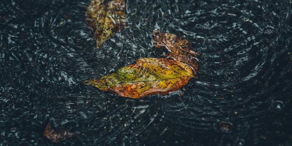 На реках Приморья возможны локальные подъемы уровня воды