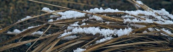 Сегодня в Приморье идёт небольшой снег