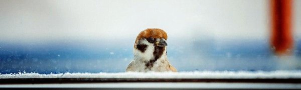 Небольшой снег начался во Владивостоке