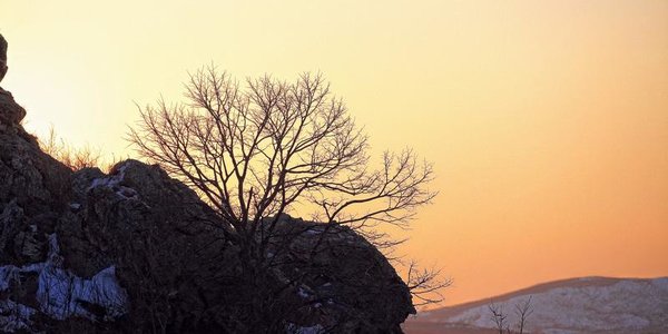 Морозы ниже климатической нормы установились в Приморье