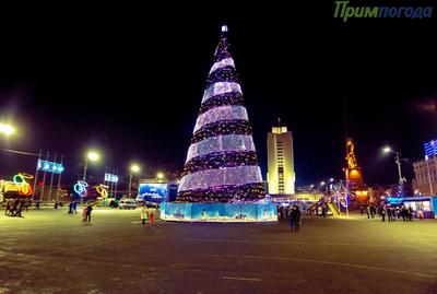 Монтаж главной новогодней ёлки начался во Владивостоке