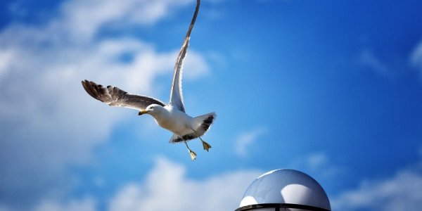 В Приморье постепенно прекращаются дожди