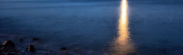 Тропический шторм «Долфин» не повлияет на погоду в Приморье