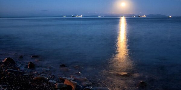 Тропический шторм «Долфин» не повлияет на погоду в Приморье