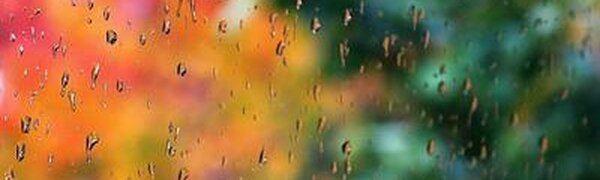 Дождливо и тепло: прогноз погоды на пятницу в Приморье