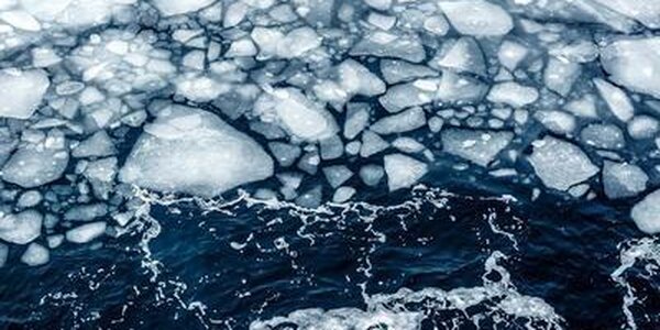 Внимание! Сегодня ожидается вынос льда в открытую часть залива Петра Великого