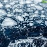 Внимание! Сегодня ожидается вынос льда в открытую часть залива Петра Великого