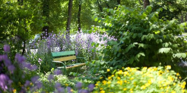 В субботу воздух во Владивостоке прогреется до +28 °C