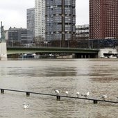 Наводнение в Париже: Сена поднялась до шестиметровой отметки