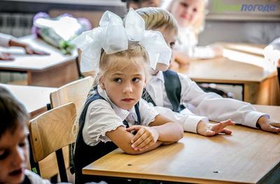 Запись детей в первые классы начнётся во Владивостоке с 1 февраля