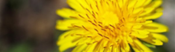 В выходные дни погоду будет определять поле повышенного атмосферного давления