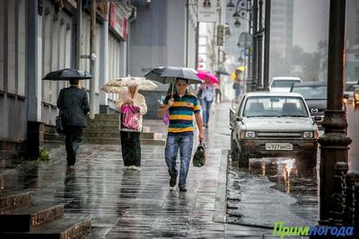 Синоптики предупредили об ухудшении погоды в Приморье на следующей неделе