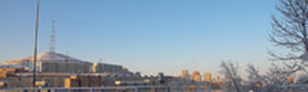 Первая декада января была малоснежной