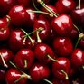Черешня оказалась настоящим суперпродуктом