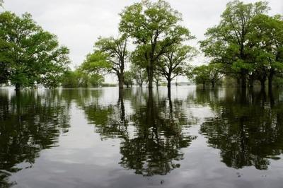 Прошедшие дожди спровоцировали паводок на реках Приморья