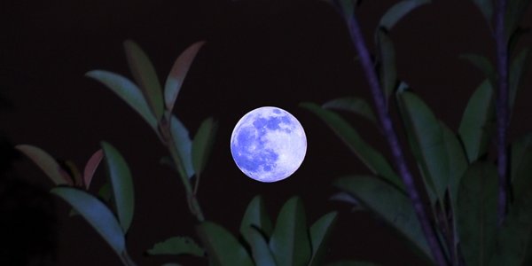 В небе взошла Голубая Луна