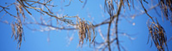 В Приморье крепчают морозы