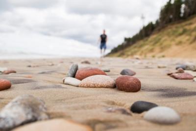 Грязный пляжный песок распространяет кишечные бактерии