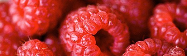 Малина защищает от рака